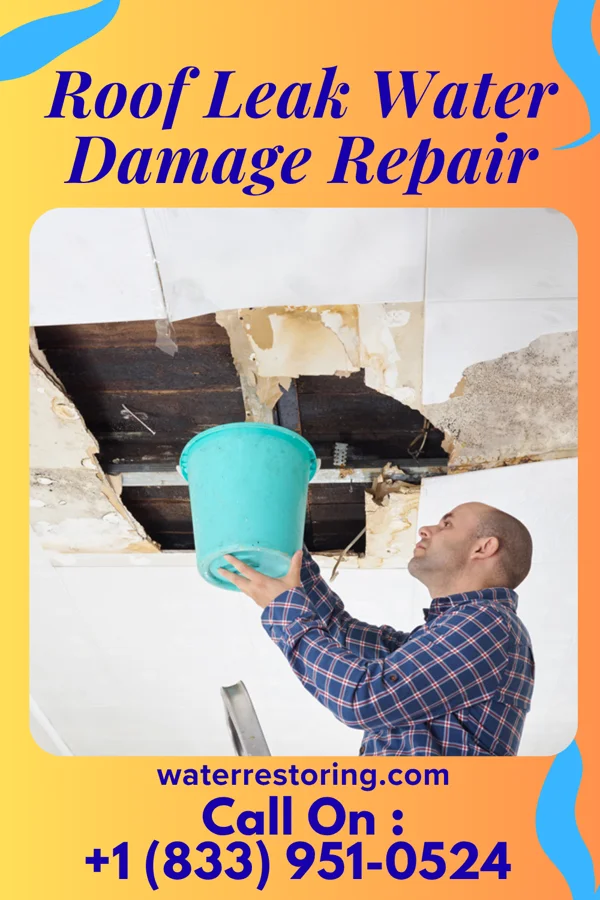 Roof Leak Water Damage Repair in Upper Witter Gulch, CO